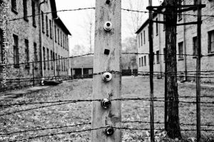 Auschwitz Birkenau