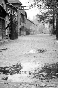 Auschwitz Birkenau