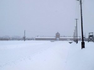 Auschwitz Birkenau