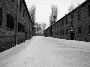 Auschwitz Birkenau