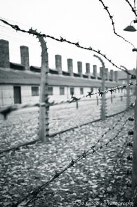 Auschwitz Birkenau