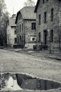 Auschwitz Birkenau