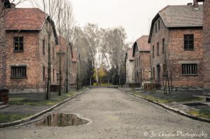 Auschwitz Birkenau