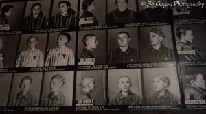 Auschwitz Birkenau